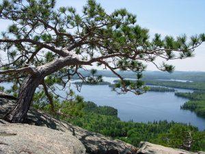 squam 3